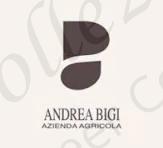 Logo Birra Agricola Bigi Andrea