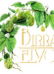 Logo Birrificio Elvo